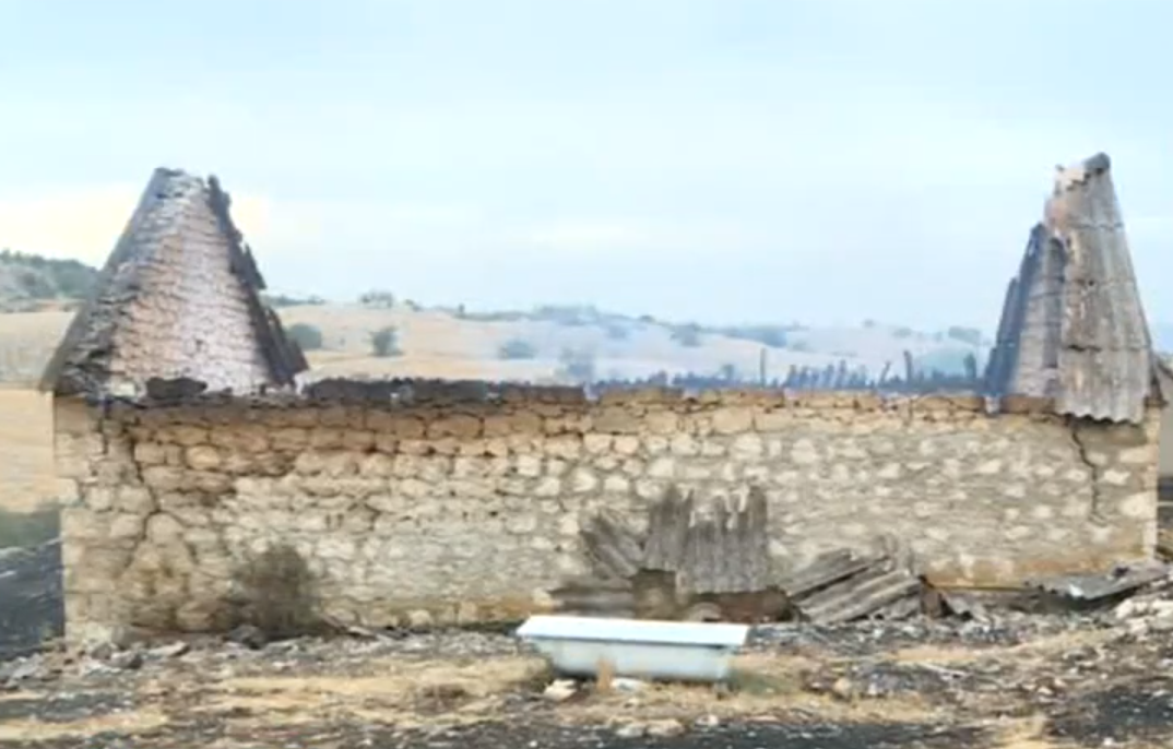 Screenshot 2025-07-28 094257.png