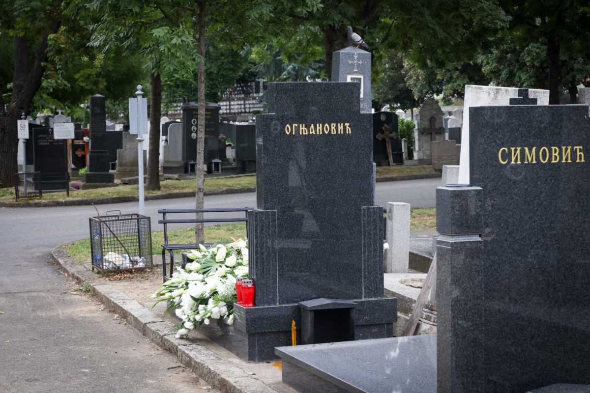 WhatsApp Image 2025-07-28 at 12.40.40 (1).jpeg