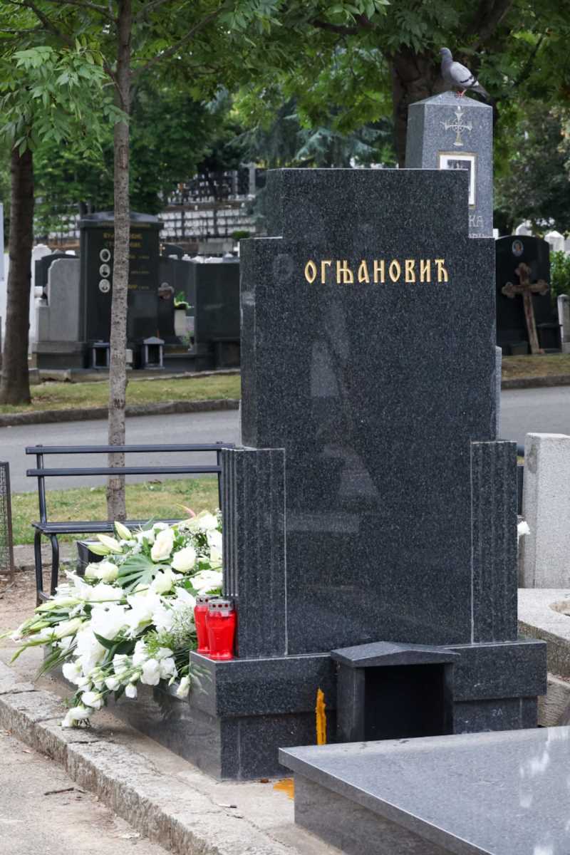 WhatsApp Image 2025-07-28 at 12.40.40.jpeg