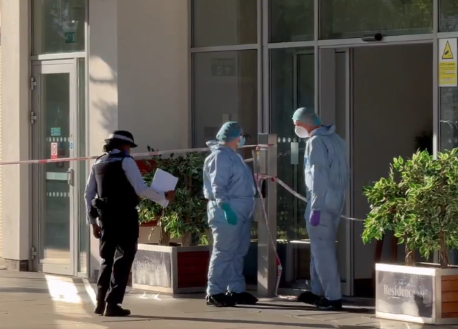 Screenshot 2025-07-29 075112.png