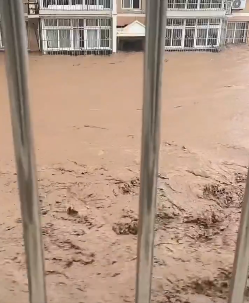 Screenshot 2025-07-29 084559.png