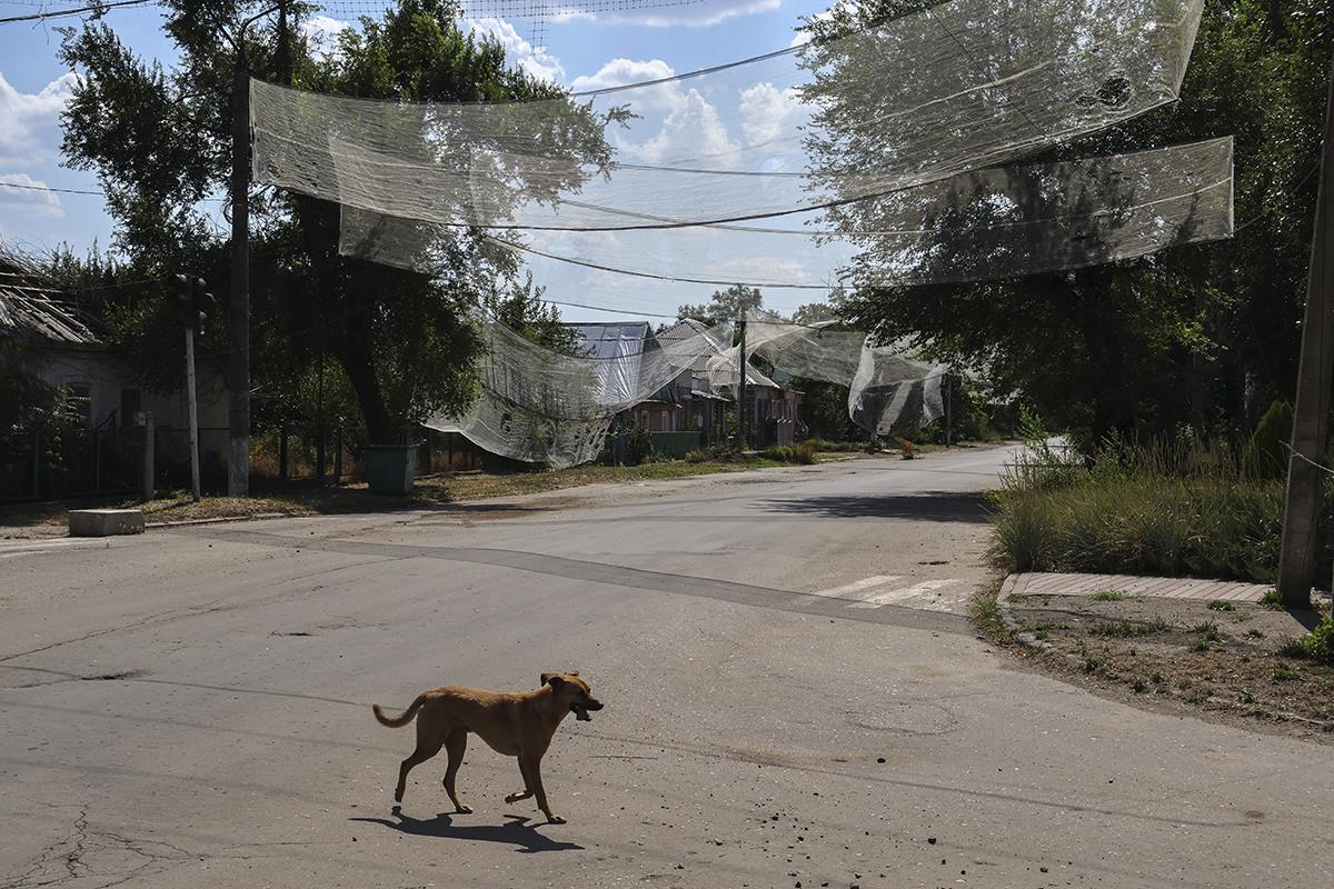 102 EPA Press Service Of The Th Mechan.jpg