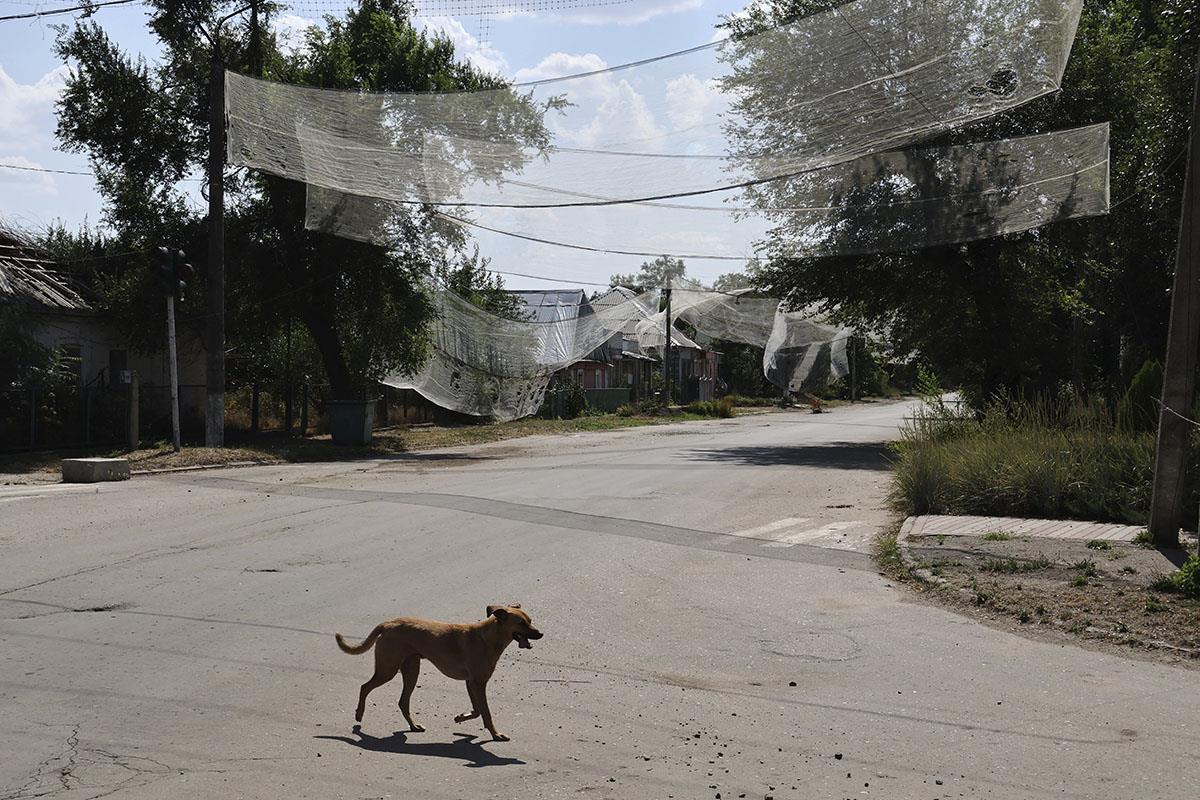 102 AP Andriy Andriyenko.jpg