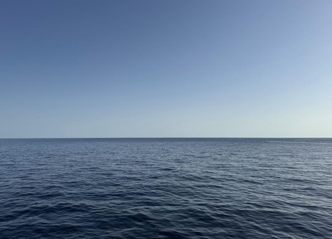 Screenshot 2025-07-29 140808.jpg