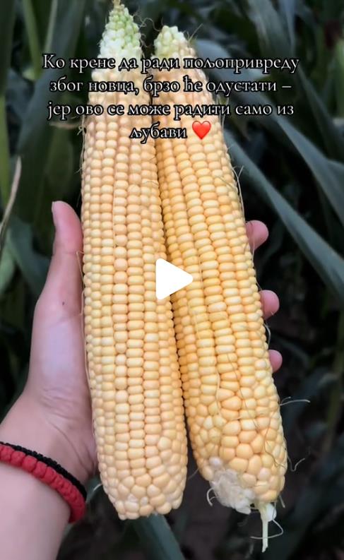Anđelija Ilić se bavi poljoprivredom i stočarstvom