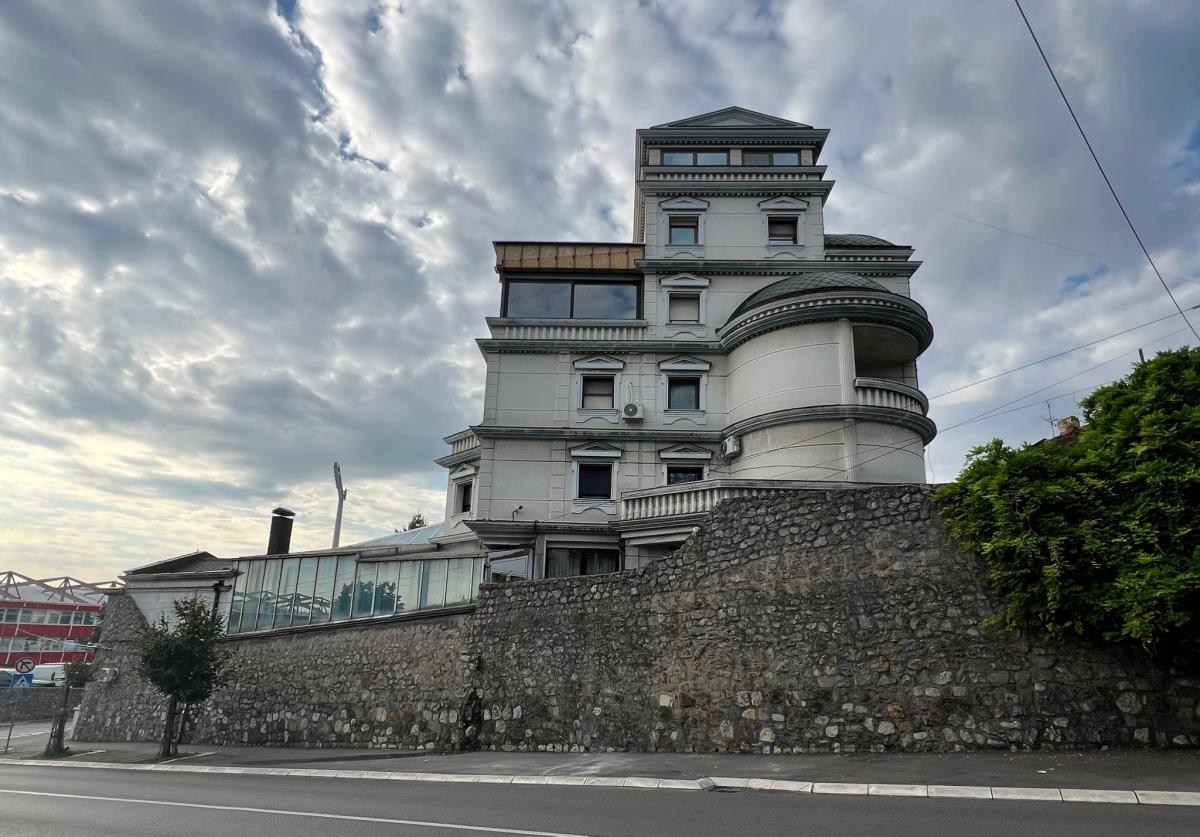 Ceca Ražnatović ima problem