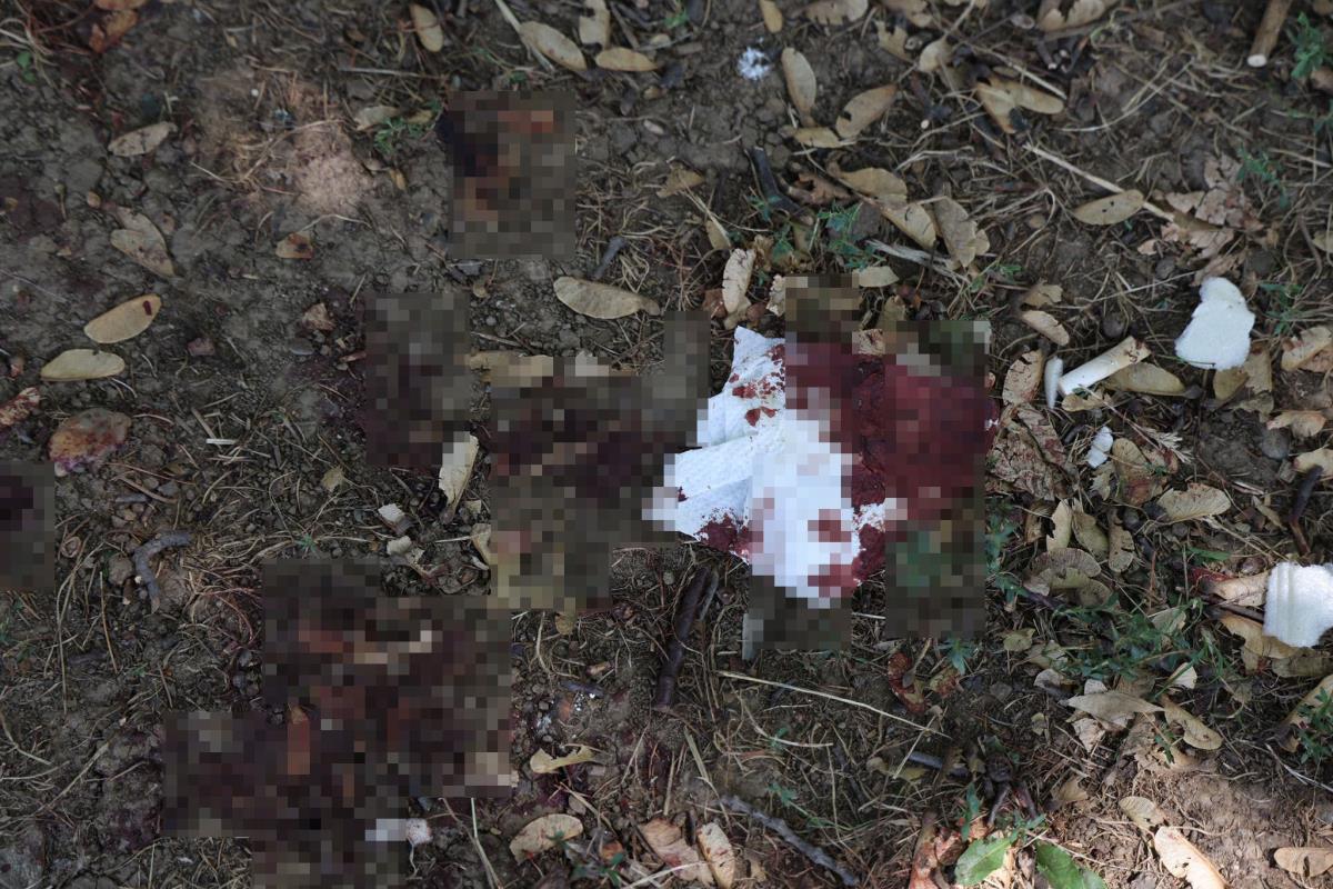 WhatsApp Image 2025-08-02 at 15.34.36 (1).jpeg