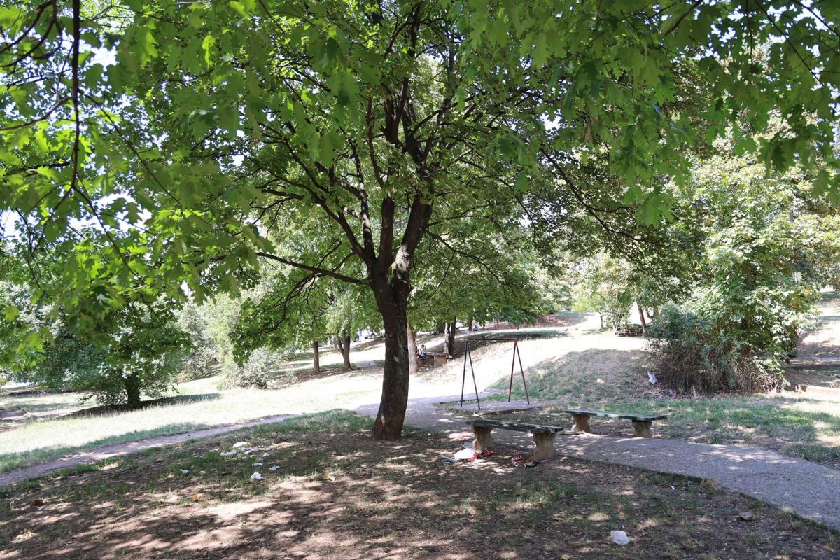 WhatsApp Image 2025-08-02 at 15.34.35.jpeg