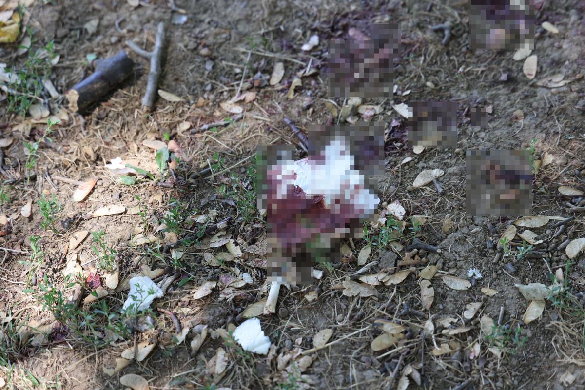 WhatsApp Image 2025-08-02 at 15.34.35 (2).jpeg