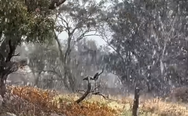 Screenshot 2025-08-03 141310.png