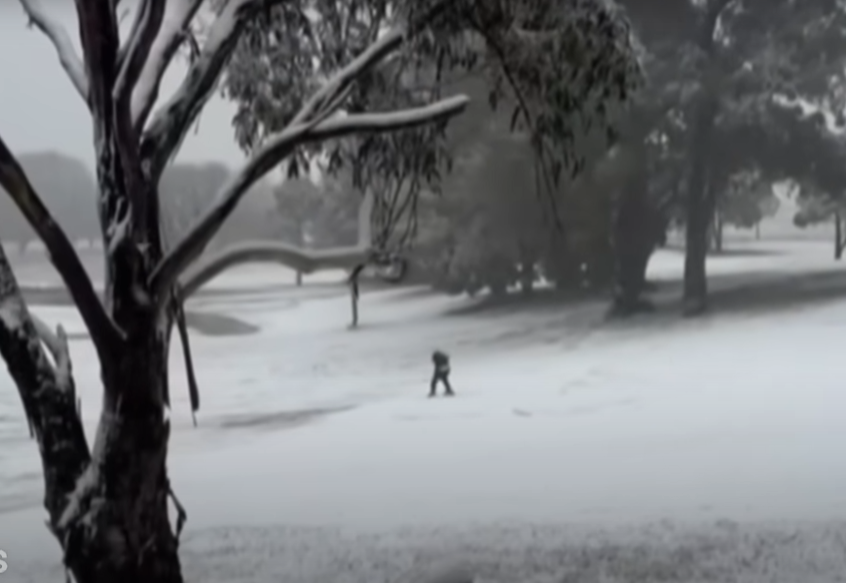 Screenshot 2025-08-03 141807.png