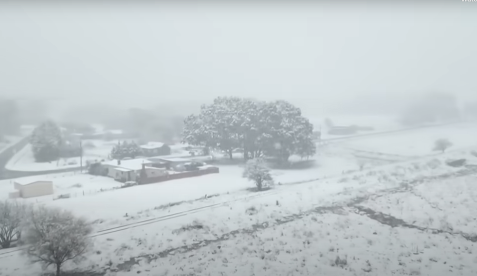 Screenshot 2025-08-03 141811.png