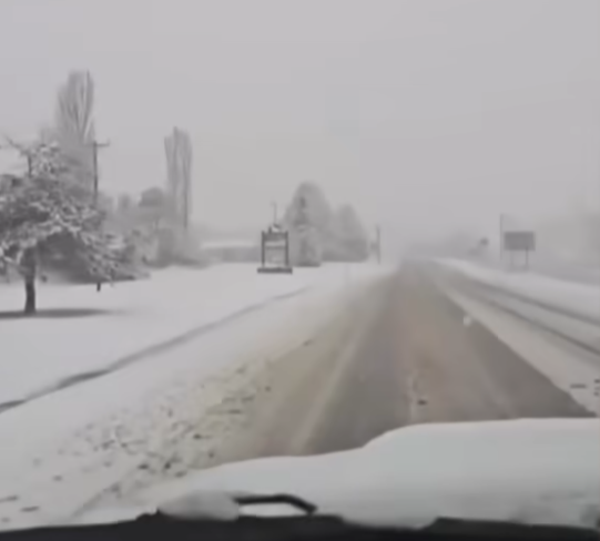 Screenshot 2025-08-03 141823.png