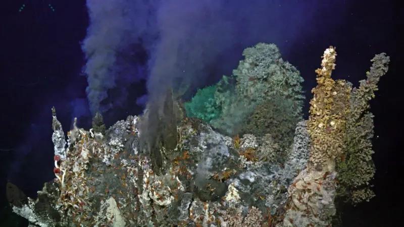 b1592610-4de3-11f0-b3c6-a9d2451e570a.jpg copy.jpg