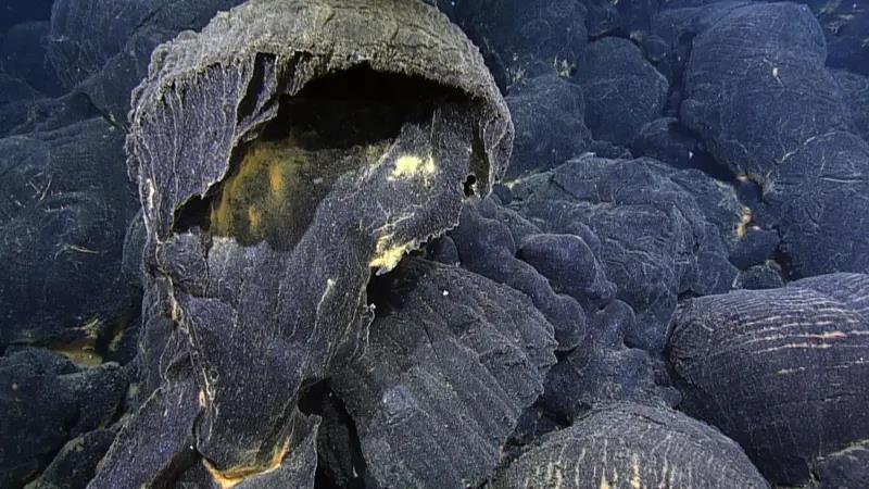 a990d990-4de4-11f0-b3c6-a9d2451e570a.jpg copy.jpg