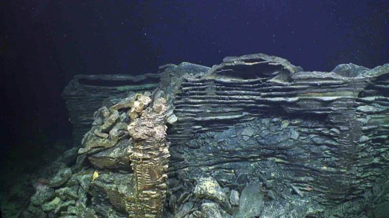 596dfd50-4de7-11f0-bbbc-b9c699180dd4.png copy.jpg