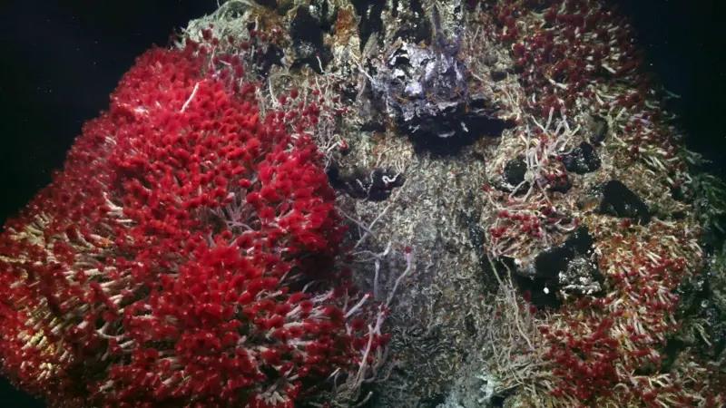 14e53d70-4de6-11f0-b3c6-a9d2451e570a.jpg copy.jpg