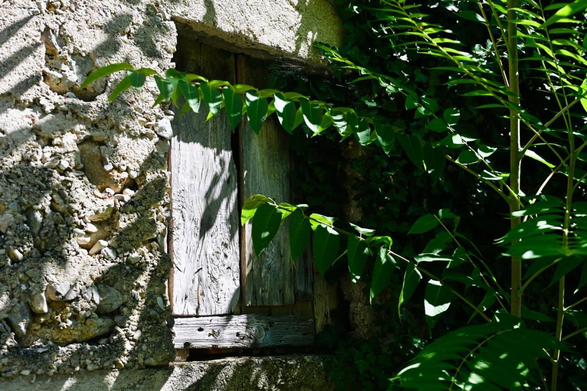 WhatsApp Image 2025-08-04 at 18.37.18 (2).jpeg