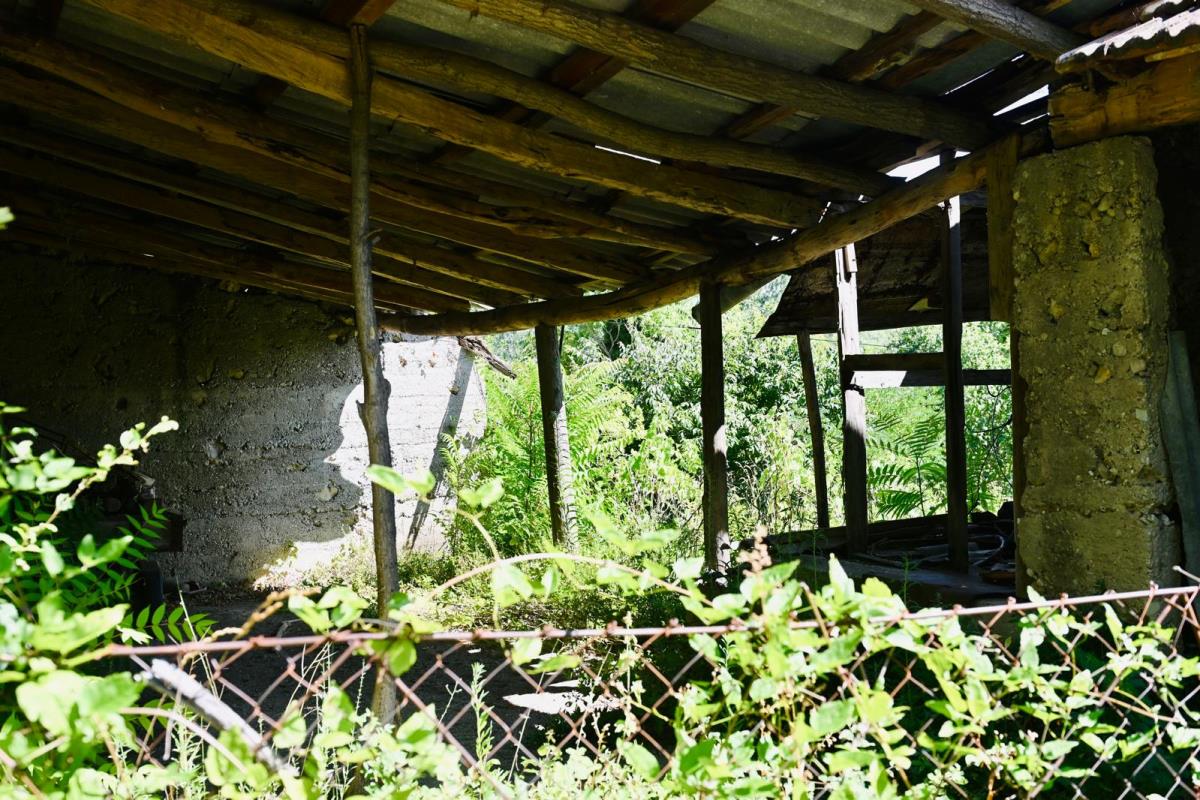 WhatsApp Image 2025-08-04 at 18.37.18 (1).jpeg