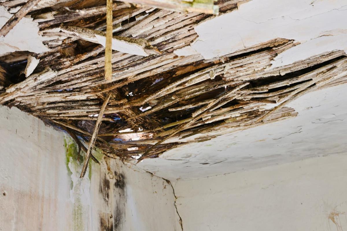 WhatsApp Image 2025-08-04 at 18.37.17 (3).jpeg