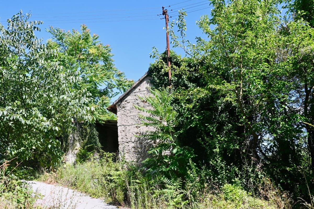 WhatsApp Image 2025-08-04 at 18.37.16 (4).jpeg