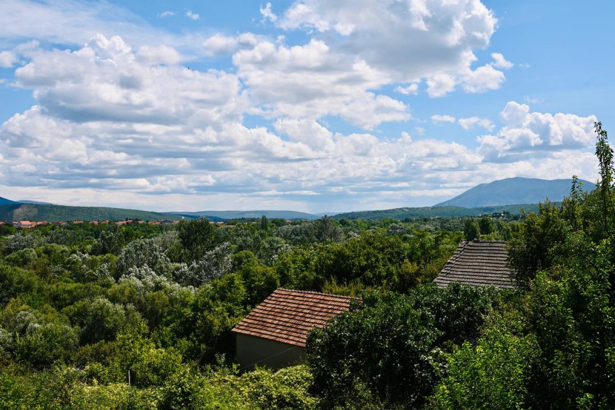 WhatsApp Image 2025-08-04 at 18.37.15 (3).jpeg