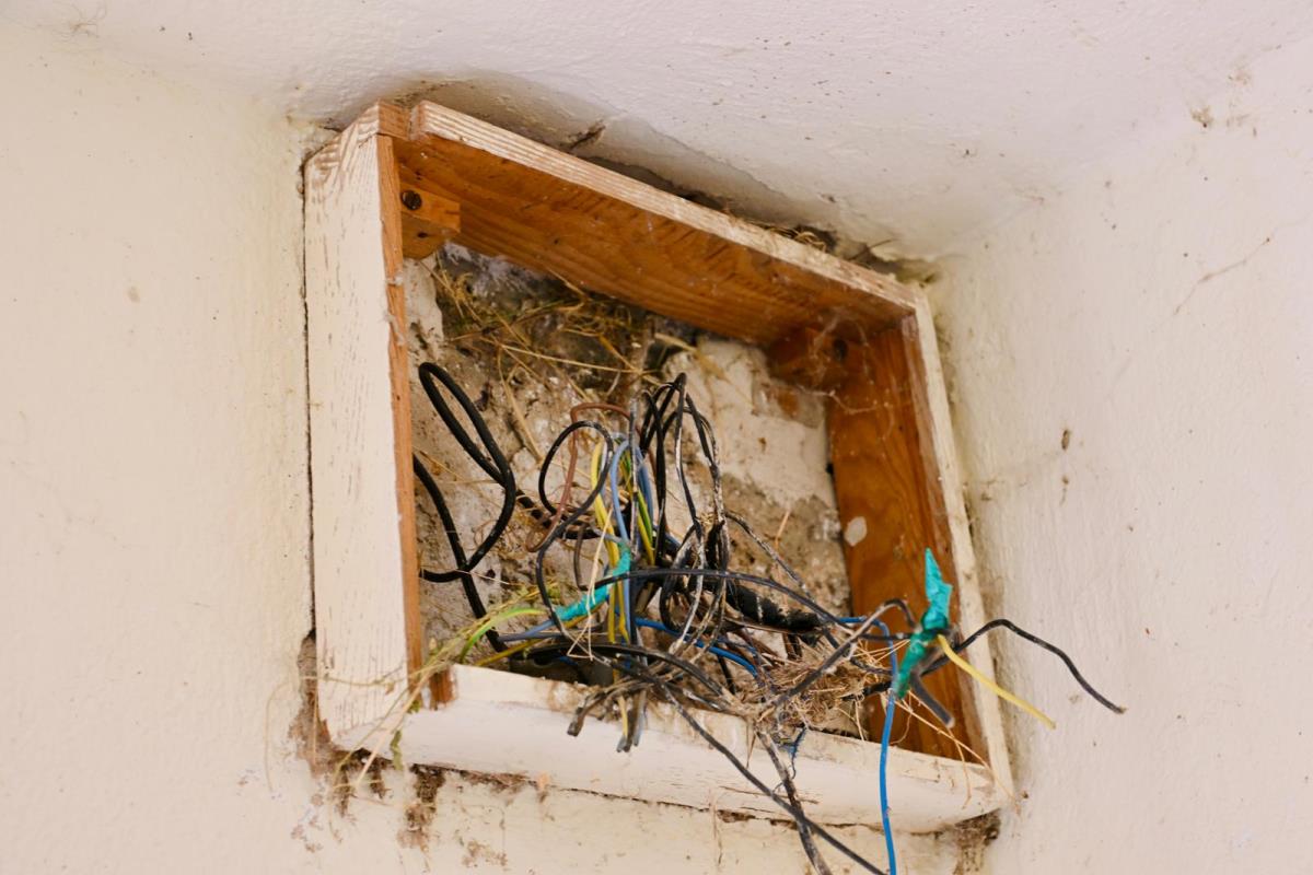 WhatsApp Image 2025-08-04 at 18.56.08.jpeg