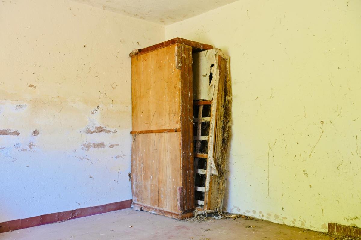 WhatsApp Image 2025-08-04 at 18.56.07 (3).jpeg