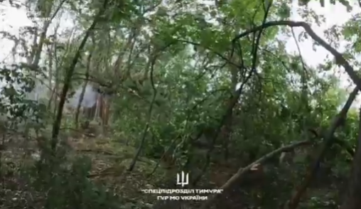 Screenshot 2025-08-05 111852.png