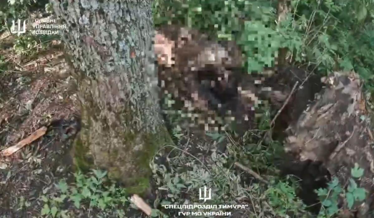 Screenshot 2025-08-05 112000.png