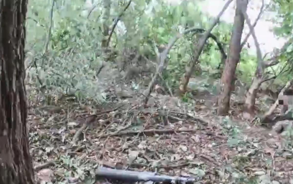 Screenshot 2025-08-05 112011.png