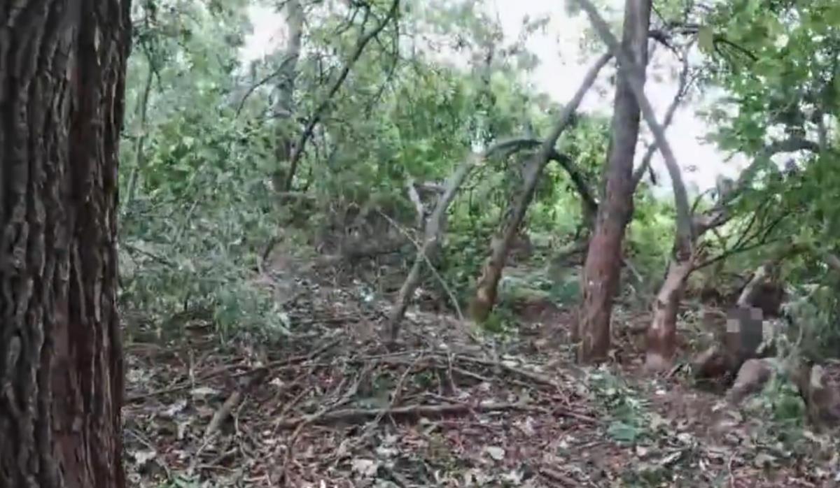 Screenshot 2025-08-05 112019.png