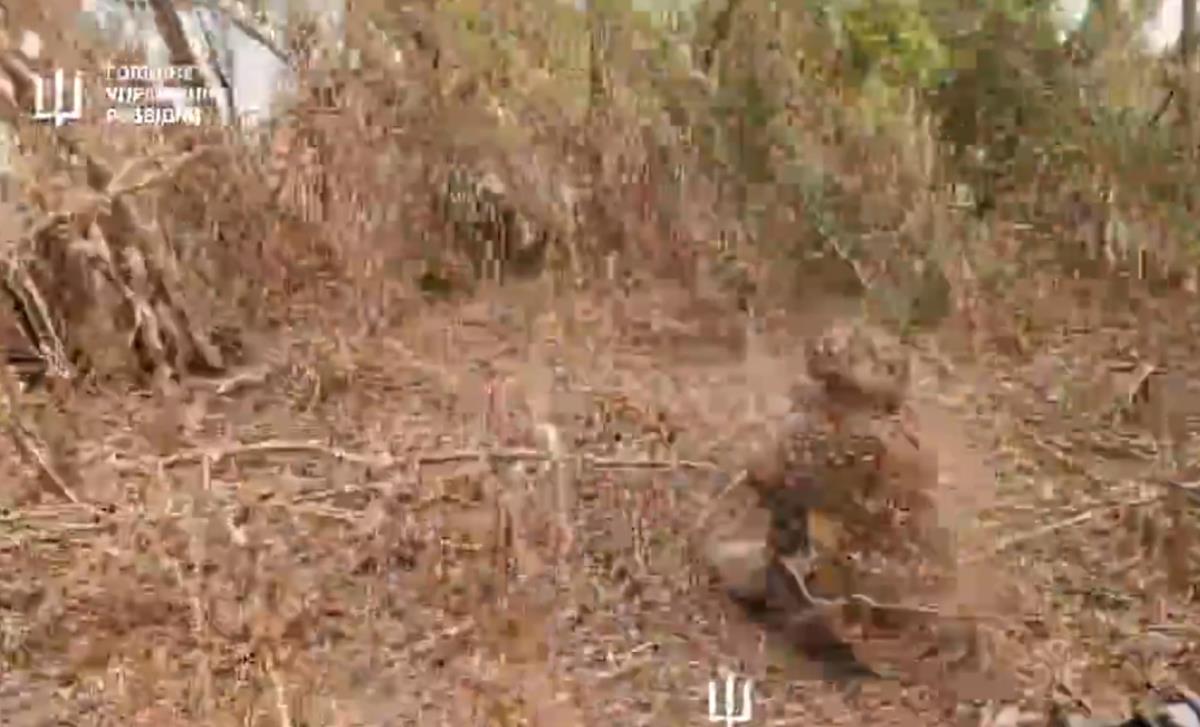 Screenshot 2025-08-05 112035.png