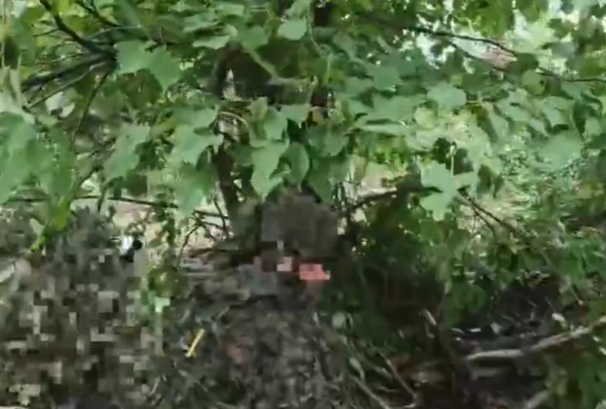 Screenshot 2025-08-05 112142.png