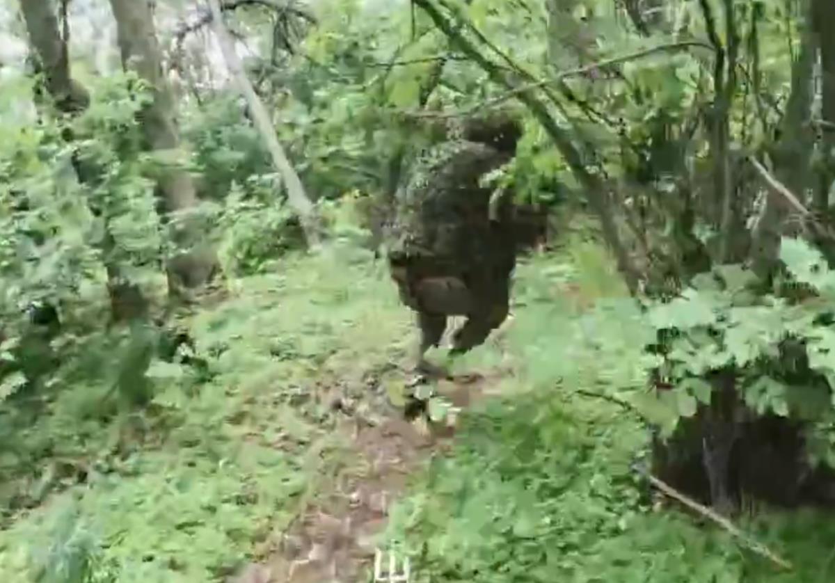 Screenshot 2025-08-05 112216.png