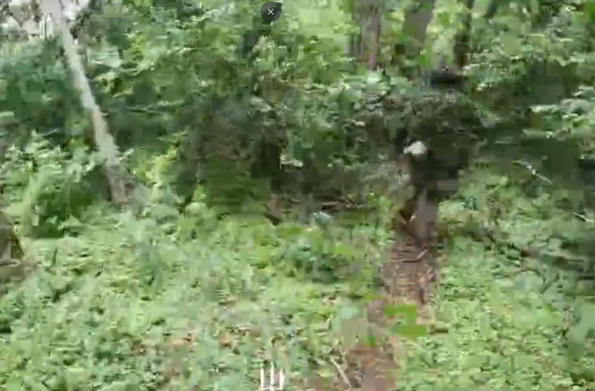 Screenshot 2025-08-05 112223.png