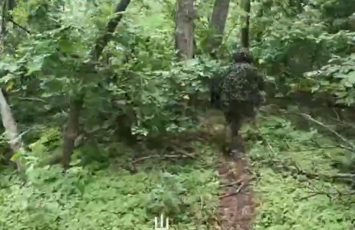 Screenshot 2025-08-05 112228.png