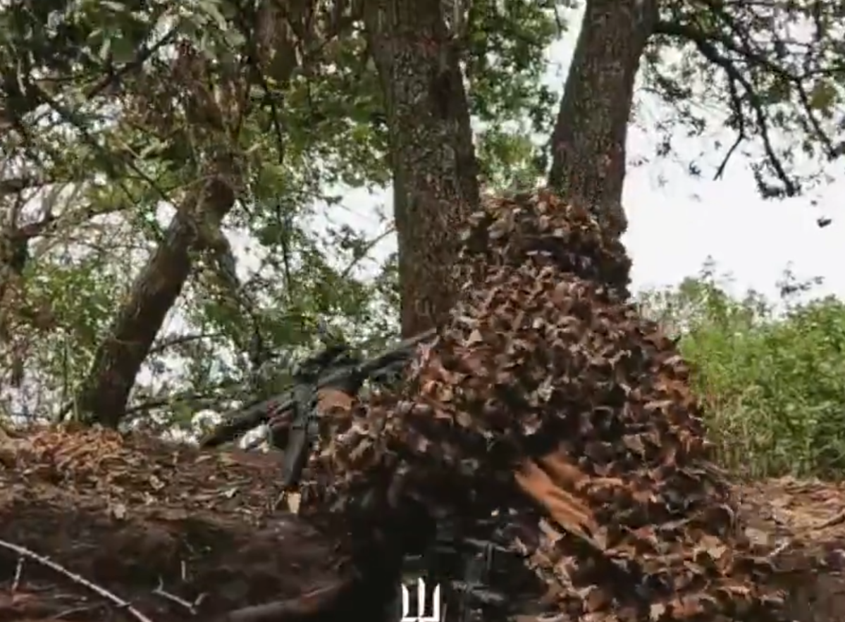 Screenshot 2025-08-05 112246.png