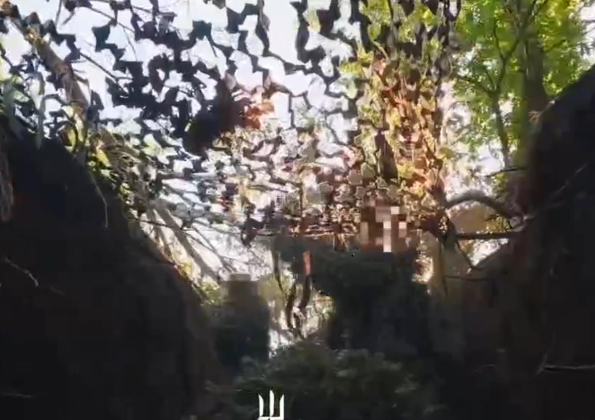 Screenshot 2025-08-05 112324.png