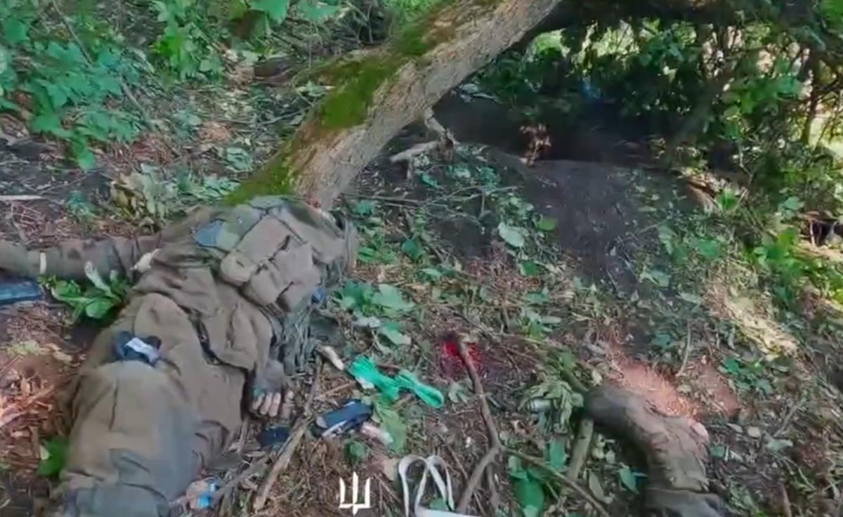 Screenshot 2025-08-05 112616.png