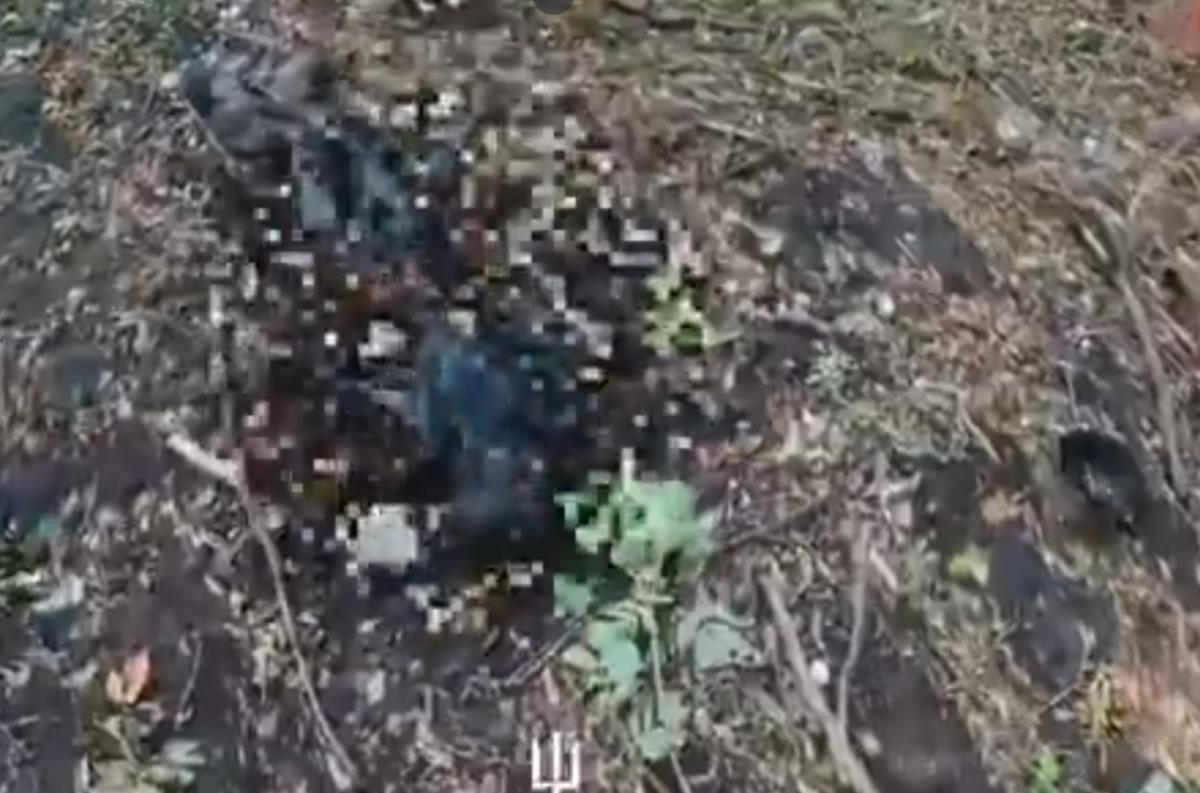 Screenshot 2025-08-05 112830.png