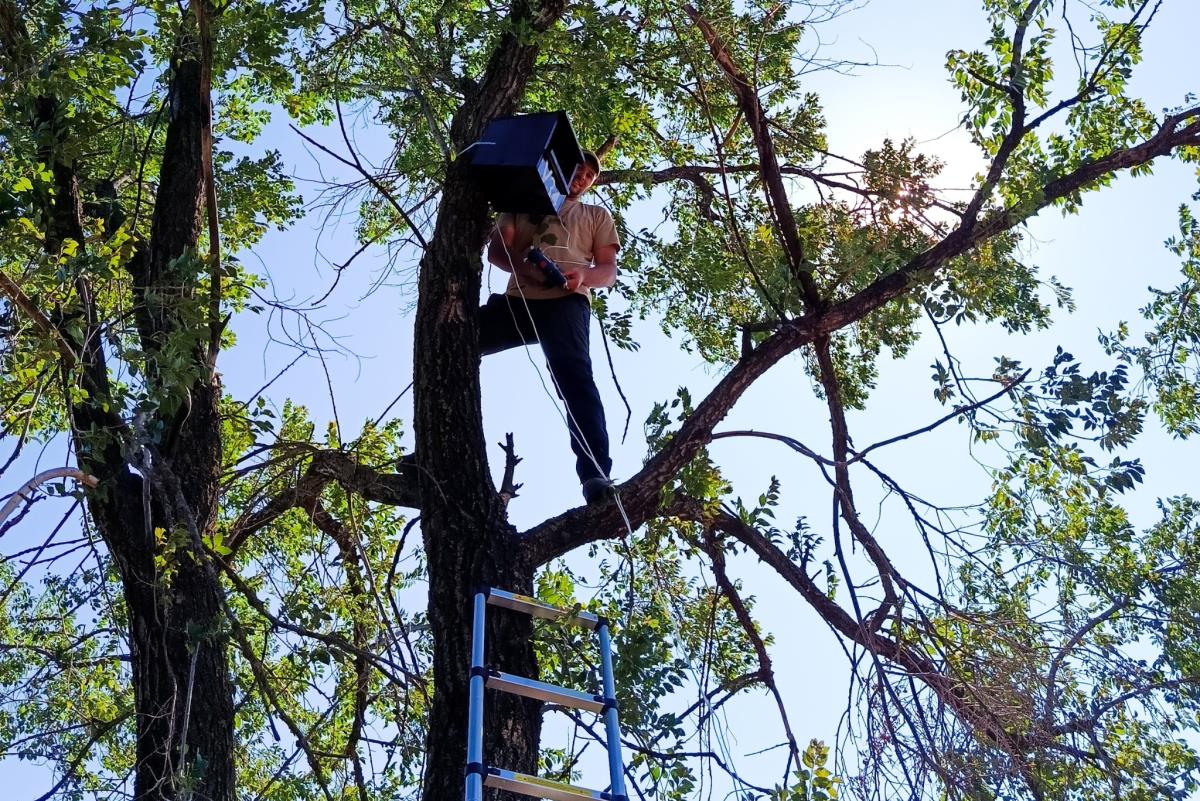Postavljanje kutije za sive vetruške