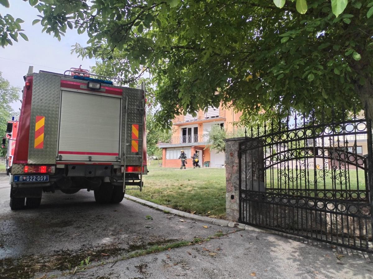 WhatsApp Image 2025-08-06 at 10.23.04 (2).jpeg