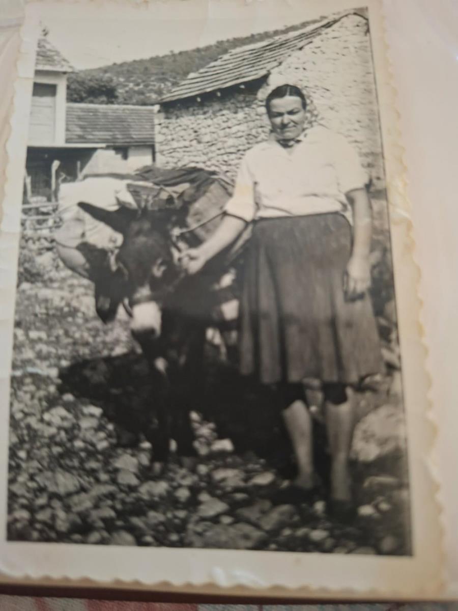 foto privatna arhiva IMG-20250806-WA0075.jpg