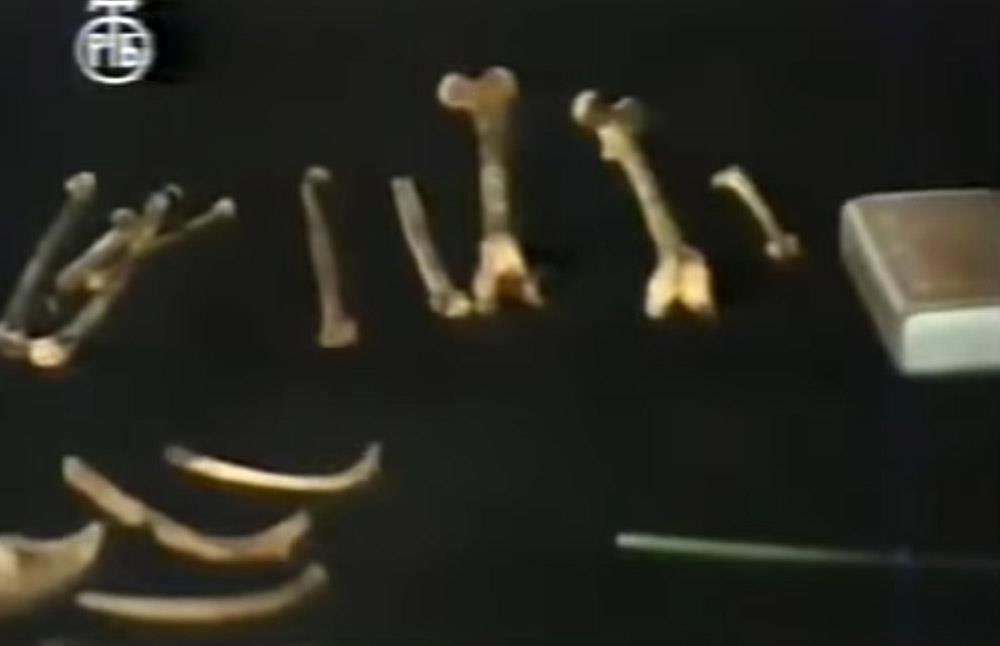 Screenshot 2025-08-06 133353.jpg