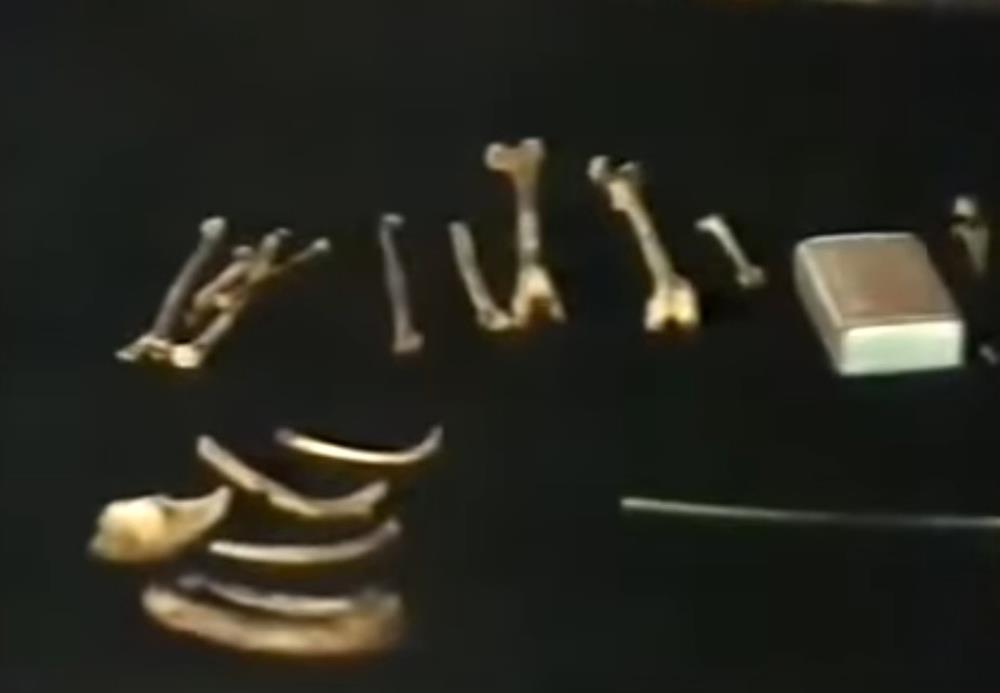 Screenshot 2025-08-06 133420.jpg