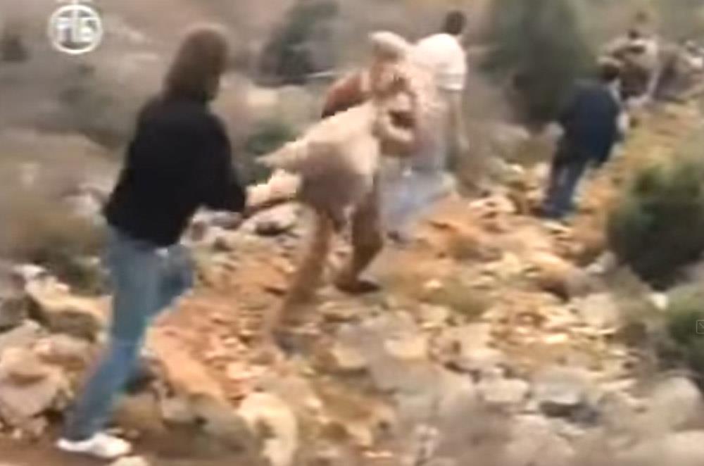 Screenshot 2025-08-06 133519.jpg