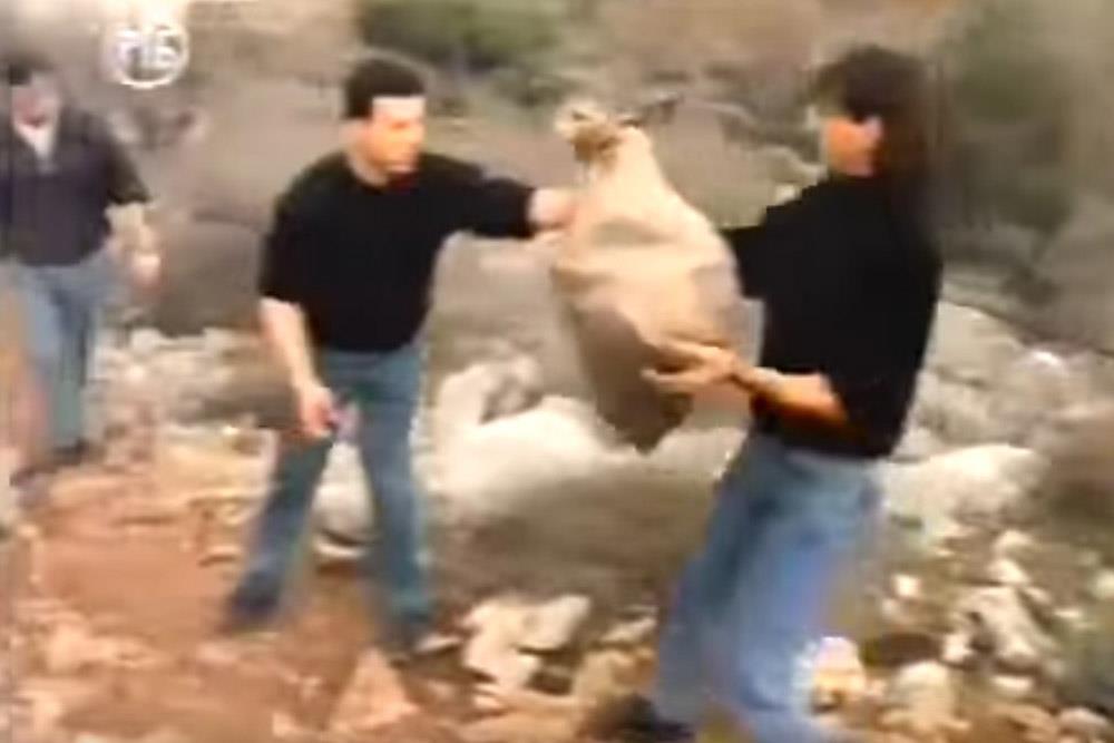 Screenshot 2025-08-06 133549.jpg