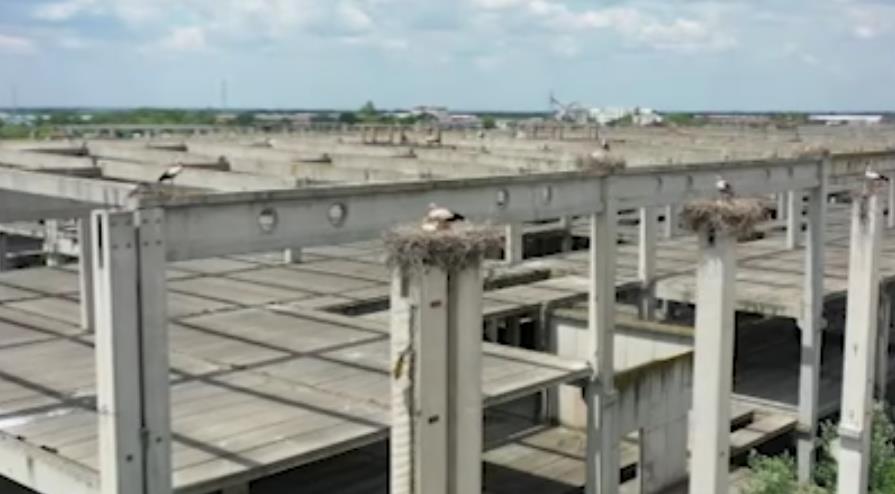 Screenshot 2025-08-06 163452.jpg