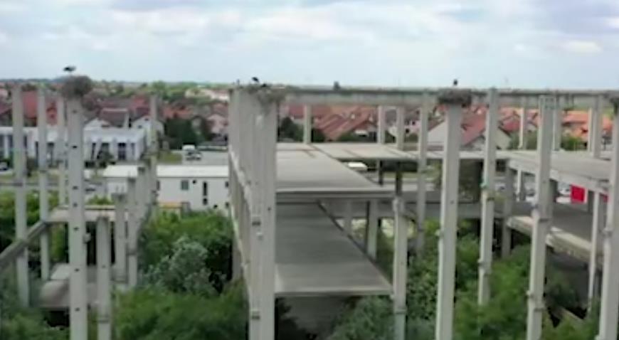 Screenshot 2025-08-06 163446.png